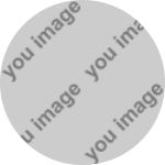 professional sanitation cleaning services